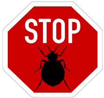 Stop Bed Bugs Now